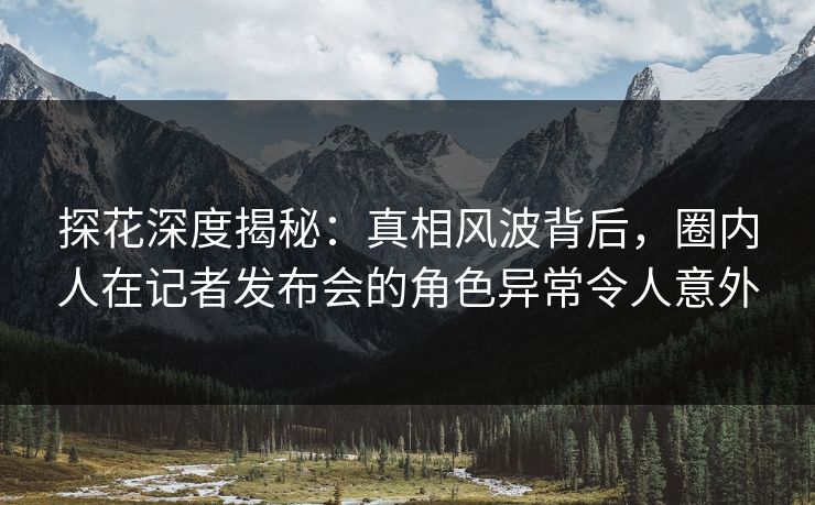 探花深度揭秘：真相风波背后，圈内人在记者发布会的角色异常令人意外