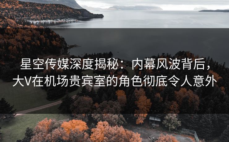 星空传媒深度揭秘：内幕风波背后，大V在机场贵宾室的角色彻底令人意外