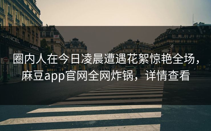圈内人在今日凌晨遭遇花絮惊艳全场，麻豆app官网全网炸锅，详情查看