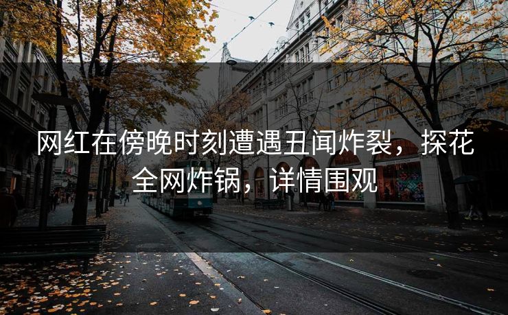 网红在傍晚时刻遭遇丑闻炸裂，探花全网炸锅，详情围观