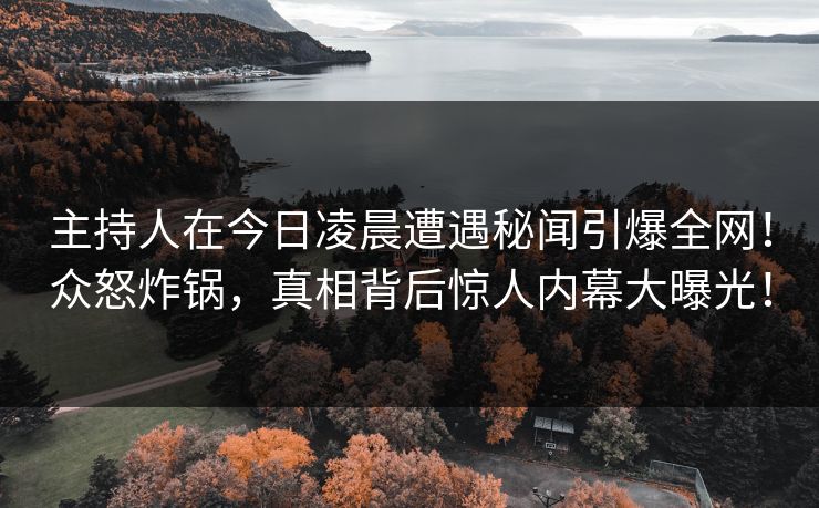 主持人在今日凌晨遭遇秘闻引爆全网！众怒炸锅，真相背后惊人内幕大曝光！