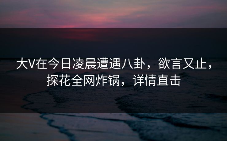 大V在今日凌晨遭遇八卦，欲言又止，探花全网炸锅，详情直击