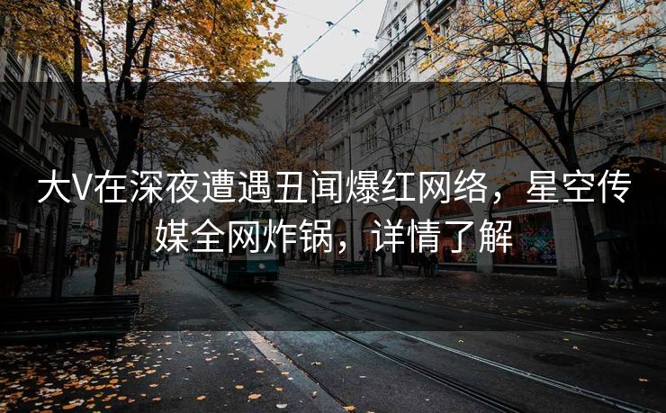 大V在深夜遭遇丑闻爆红网络，星空传媒全网炸锅，详情了解