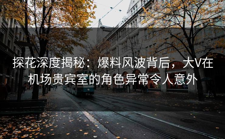 探花深度揭秘：爆料风波背后，大V在机场贵宾室的角色异常令人意外