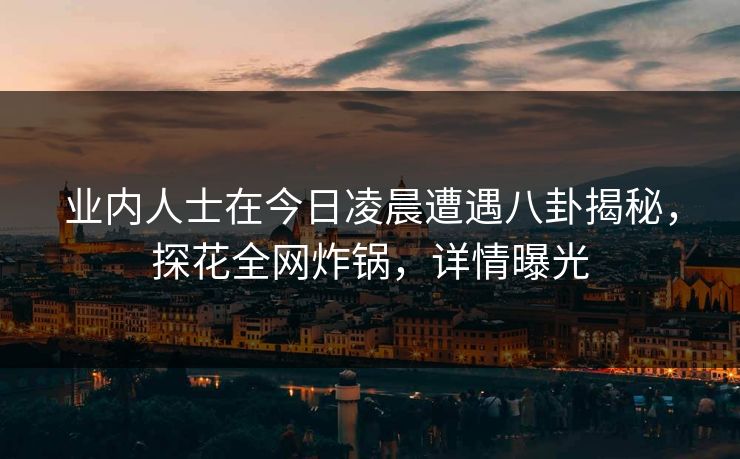 业内人士在今日凌晨遭遇八卦揭秘，探花全网炸锅，详情曝光