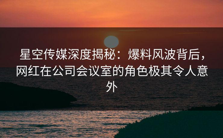 星空传媒深度揭秘：爆料风波背后，网红在公司会议室的角色极其令人意外