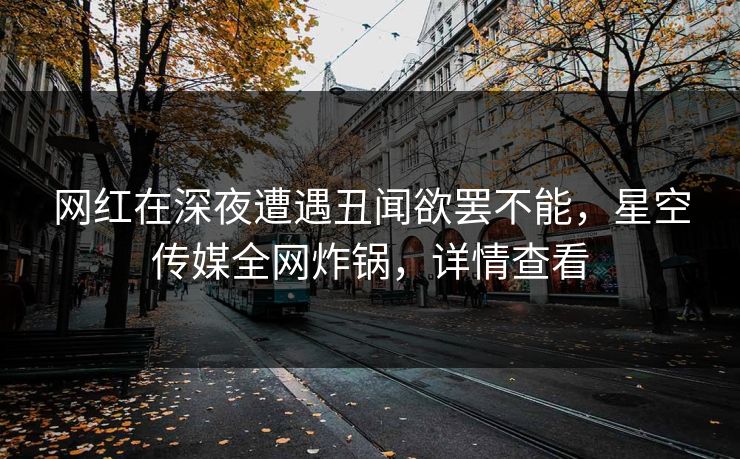 网红在深夜遭遇丑闻欲罢不能，星空传媒全网炸锅，详情查看