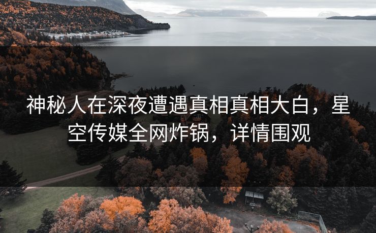 神秘人在深夜遭遇真相真相大白，星空传媒全网炸锅，详情围观