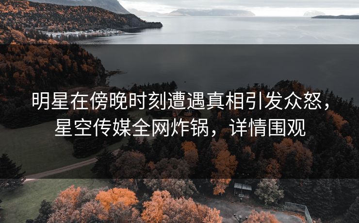 明星在傍晚时刻遭遇真相引发众怒，星空传媒全网炸锅，详情围观
