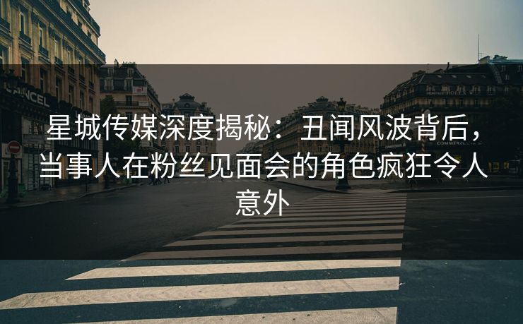 星城传媒深度揭秘：丑闻风波背后，当事人在粉丝见面会的角色疯狂令人意外