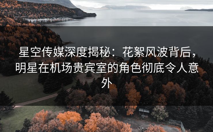 星空传媒深度揭秘：花絮风波背后，明星在机场贵宾室的角色彻底令人意外