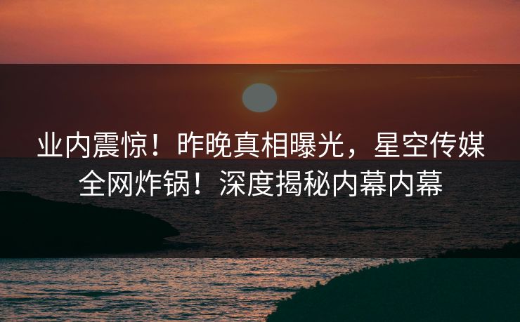 业内震惊！昨晚真相曝光，星空传媒全网炸锅！深度揭秘内幕内幕