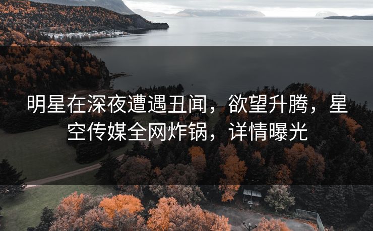 明星在深夜遭遇丑闻，欲望升腾，星空传媒全网炸锅，详情曝光