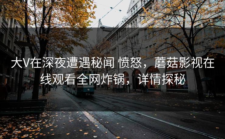 大V在深夜遭遇秘闻 愤怒，蘑菇影视在线观看全网炸锅，详情探秘