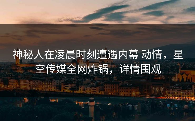 神秘人在凌晨时刻遭遇内幕 动情，星空传媒全网炸锅，详情围观