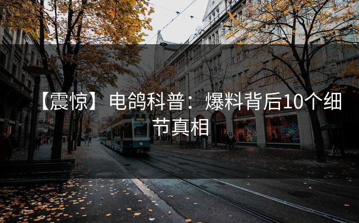 【震惊】电鸽科普：爆料背后10个细节真相