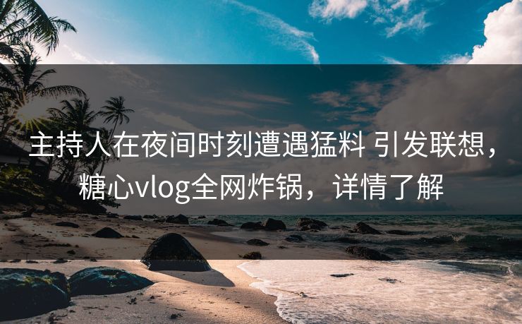 主持人在夜间时刻遭遇猛料 引发联想，糖心vlog全网炸锅，详情了解